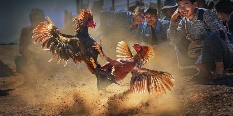 Luật chơi cơ bản và thú vị