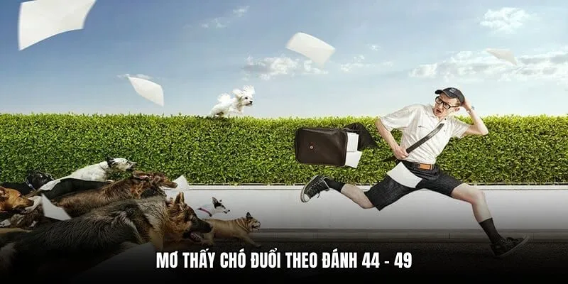 Mơ thấy chó đuổi theo đánh 44 - 49