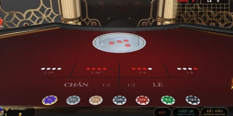 Những lý do bạn nên chọn cược xóc đĩa mỗi ngày tại 33Bet