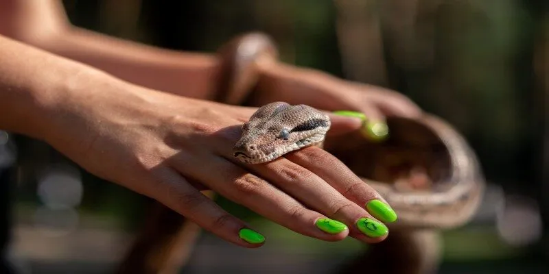 Tín ngưỡng dân gian nói gì về giấc mơ rắn cắn