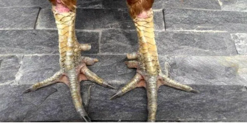 Vì sao cần nắm rõ thông tin trên