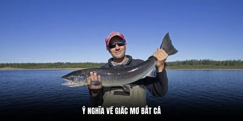 Ý nghĩa về giấc mơ bắt cá